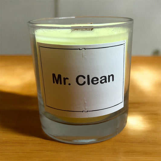 Mr. Clean 10oz Clean